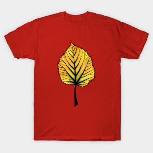 Yellow Linden Leaf On Orange | Decorative Botanical Art T-Shirt